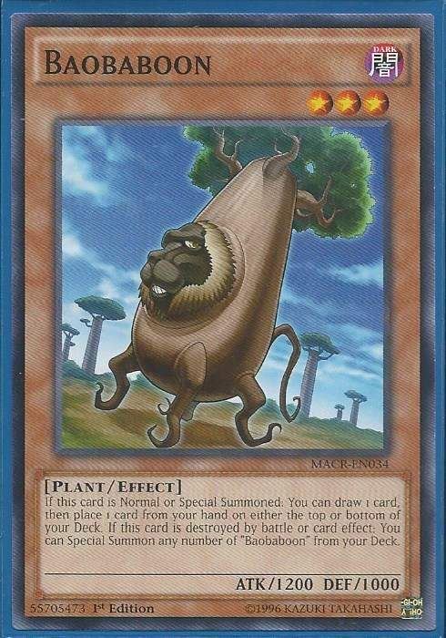 MACR-EN034 Baobaboon - Common