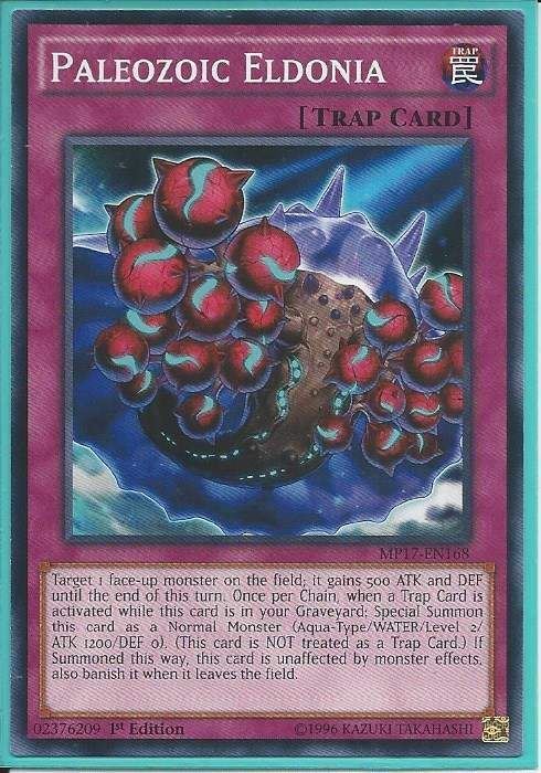 MP17-EN168 Paleozoic Eldonia - Common