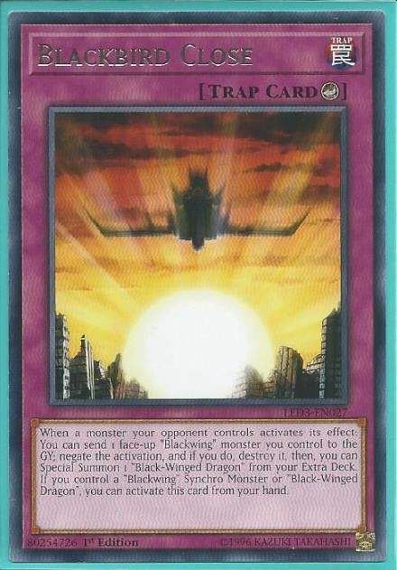 LED3-EN027 Blackbird Close – Rare