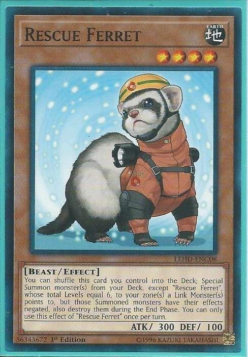 LEHD-ENC08 Rescue Ferret – Common