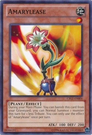 kduy CBLZ-EN004 Amarylease - Common