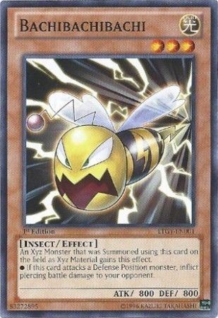 kduy LTGY-EN001 - Bachibachibachi - Common