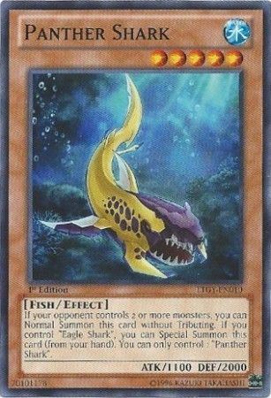 kduy LTGY-EN010 - Panther Shark - Common