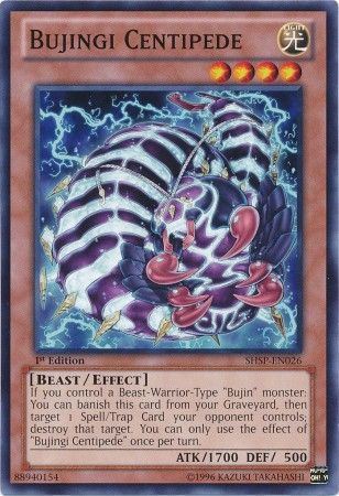 SHSP-EN026 - Bujingi Centipede - Common