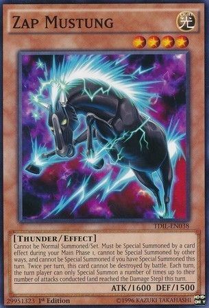 kduy TDIL-EN038 Zap Mustung - Common