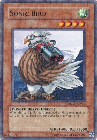 kduy DLG1-EN076 Sonic Bird - Common