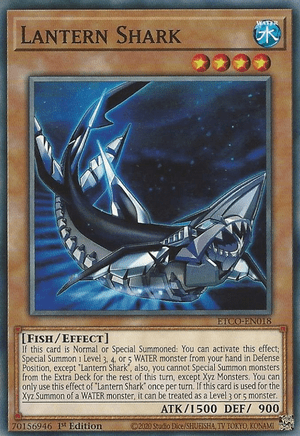 ETCO-EN018 Lantern Shark - Common