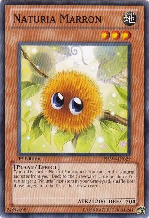 kduy PHSW-EN029 Naturia Marron - Common