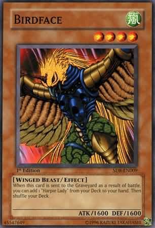 kduy SD8-EN009 Birdface - Common