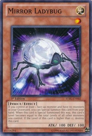 kduy STBL-EN002 - Mirror Ladybug - Common