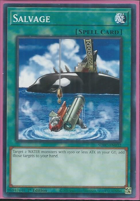 SDFC-EN032 Salvage – Common