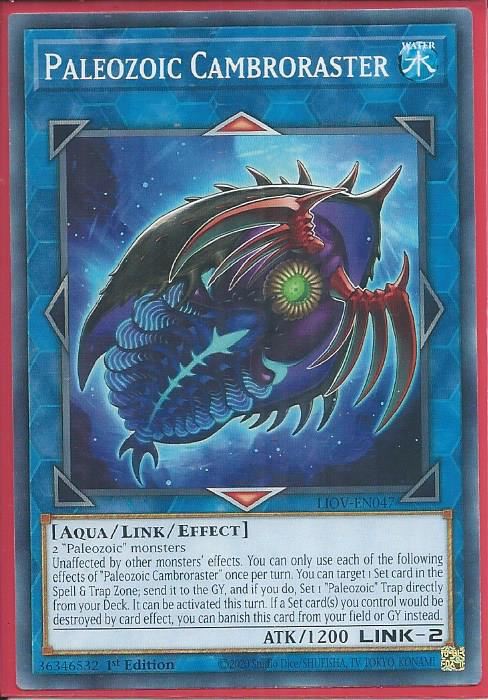 LIOV-EN047 Paleozoic Cambroraster – Common