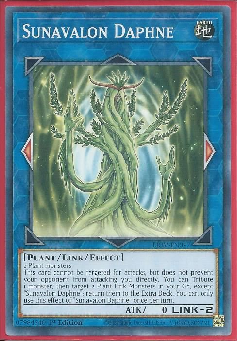 LIOV-EN097 Sunavalon Daphne – Common