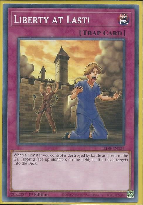 LED8-EN034 Liberty at Last – Common