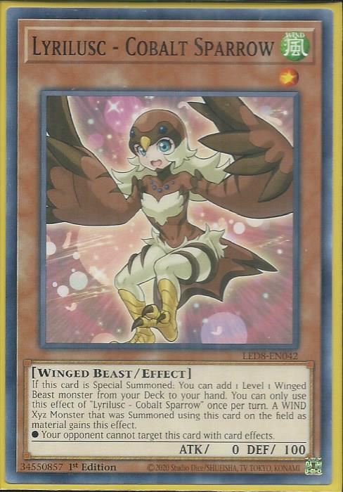 LED8-EN042 Lyrilusc – Cobalt Sparrow – Common