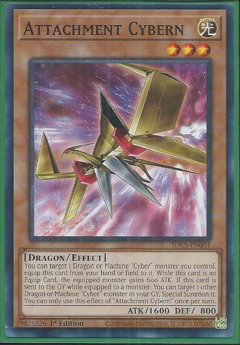 SDCS-EN001 Attachment Cybern – Common