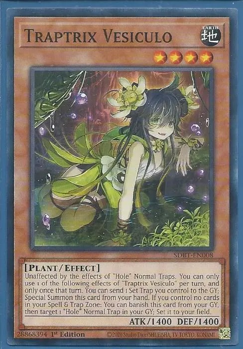 SDBT-EN008 Traptrix Vesiculo – Common