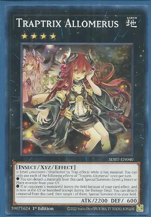 SDBT-EN040 Traptrix Allomerus – Common