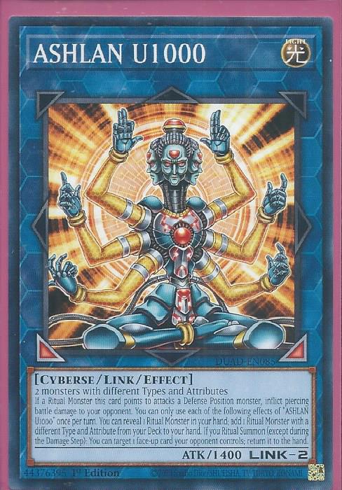 DUAD-EN085 ASHLAN U1000 – Common