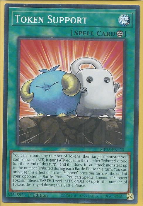 MP25-EN420 Token Support – Common