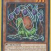 BLZD-EN008 Predaplant Lilizard – Common